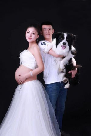 錫林郭勒的豆子